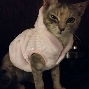 Meet your Posher, Amie